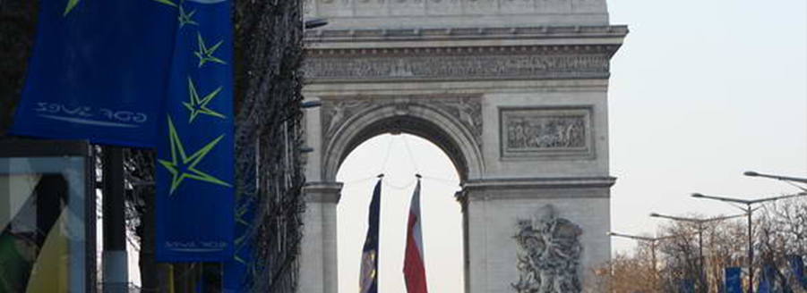 Ganoderma la Paris 2009